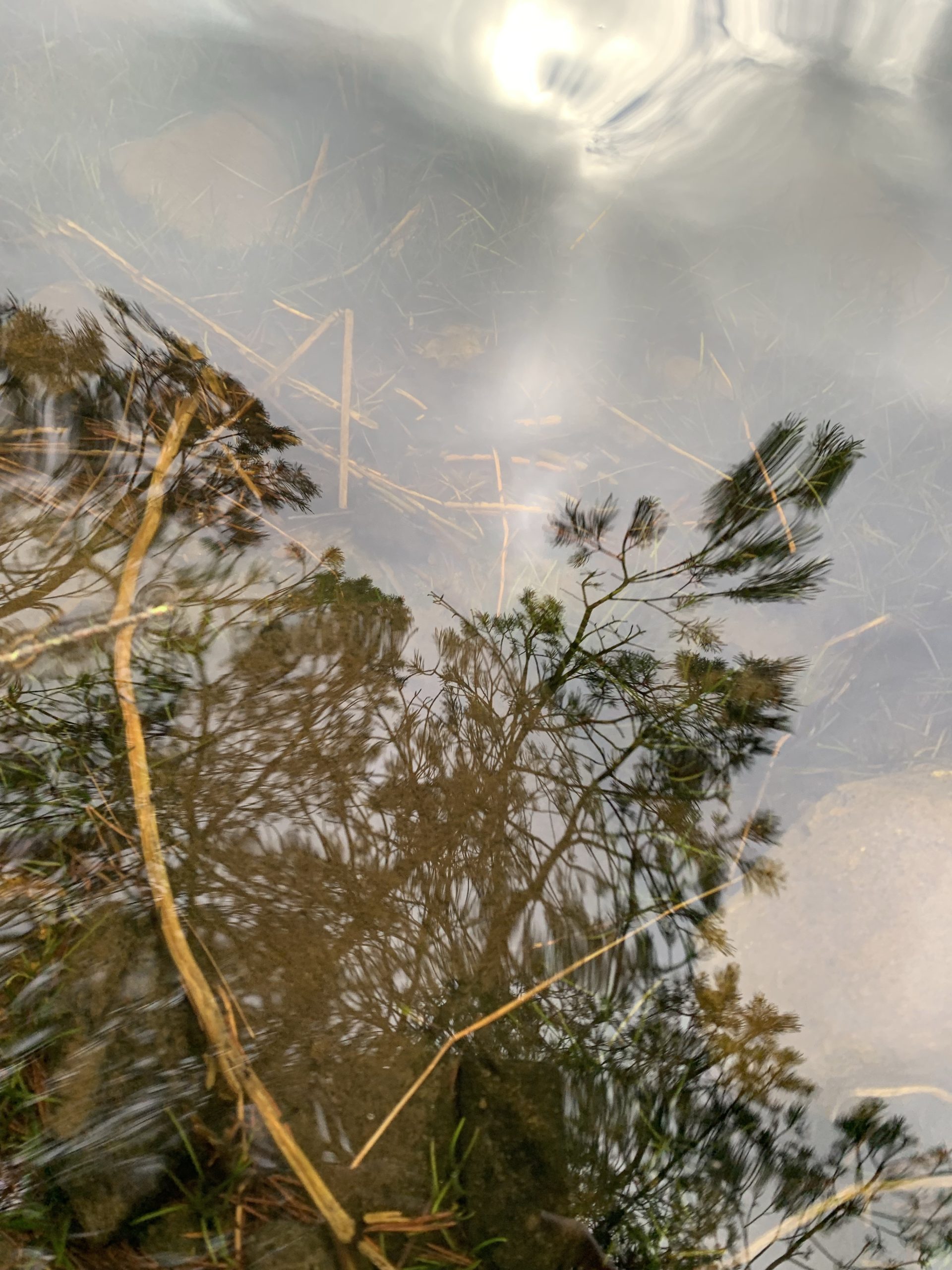 Watery Layers and reflections